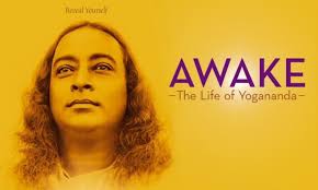 Awake Foto